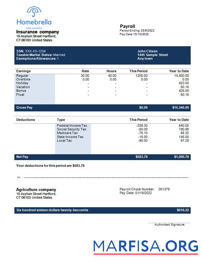 Printable Insurance company fully editable earning statement example